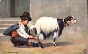 Tuck Malta Maltese Milkman Little Boy Milking Goat c1910 Vintage Postcard