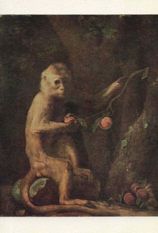 George Stubbs A Monkey Painting Postcard