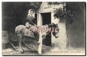 Old Postcard Donkey Mule Ile de Re Ars en Re L & # 39ane panties