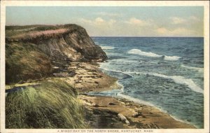 Nantucket MA North Shore #81122 c1910 Detroit Publishing Postcard