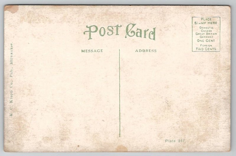 De Soto Hotel Dalhart TX Texas c1908 Postcard F34