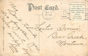 Sayre Pennsylvania~Wilbur House Hotel~Cigars~Drug Store~Ladies in Street~1909 PC