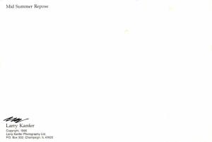 Midd Summer Repose - 