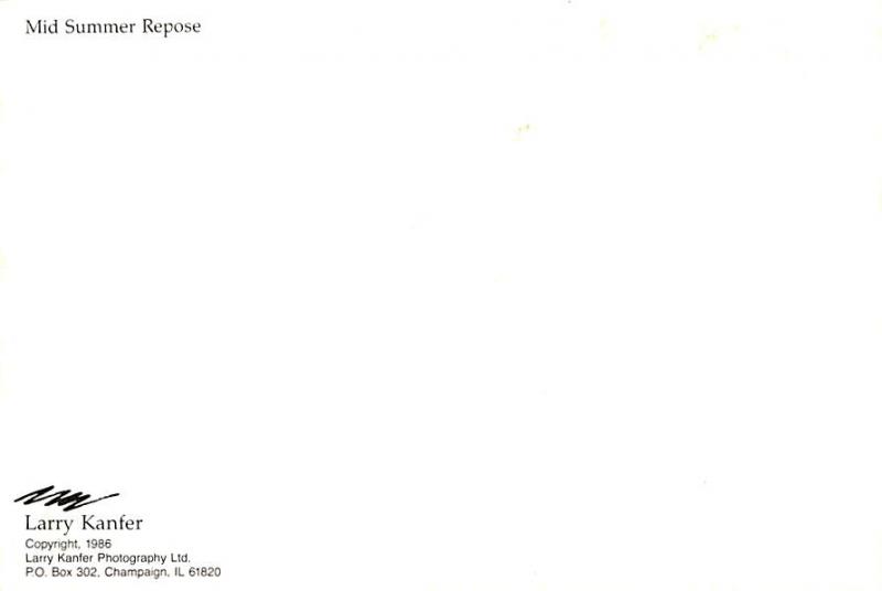 Midd Summer Repose - 