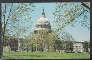 America Postcard - United States Capitol Building, Washington D.C - RS20315