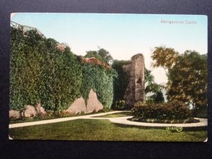 Cymru Monmouthshire ABERGAVENNY CASTLE c1920s Postcard by Valentine