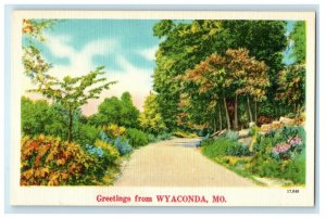 c1940's Greetings From Wyaconda Missouri MO Road Flowers Postcard