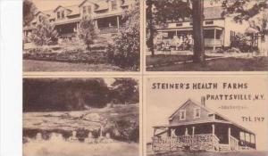 New York Prattsville Steiners Health Farms