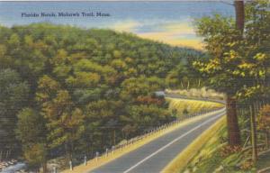 Florida Notch on the Mohawk Trail Massachusetts MA Linen