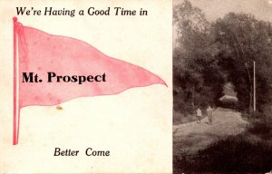 Illinois Mt Prospect We're Having A Good Time Pennant Series