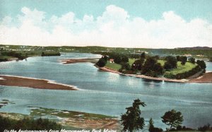 Vintage Postcard Up The Androscoggin From Merrymeeting Park Maine River Nature