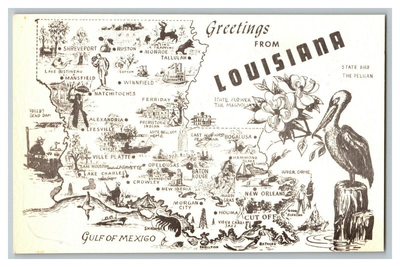 Postcard Greetings From Louisiana Vintage Standard View Card Map 