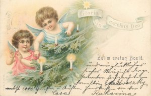 Christmas tree 1903 Litho Fantasy Postcard cherub angels Gloria in excelsis Deo