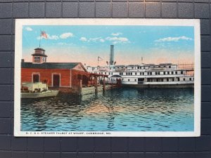 Vintage Postcard 1914 B.C. & A. Steamer Talbot at Wharf, Cambridge, Maryland