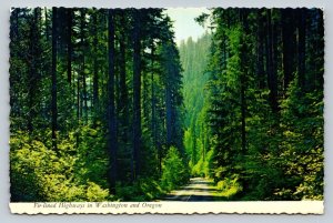 Fir-lined Highways of Washington & Oregon Pacific Northwest 4x6 Postcard 1774
