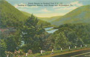 Pennsylvania Bucktail US 120 Scenic Beauty Linen Postcard Unused