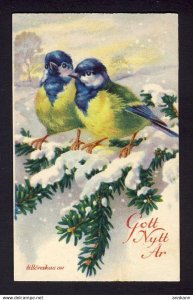 Two birds sit on snow fir branch. artist signed - mini postcard
