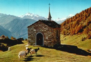 Postcard Nesselalp Against Mischabel Matterhorn and Weisshorn Switzerland