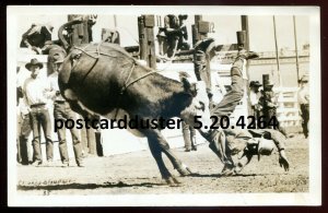 h5108- CALGARY Alberta 1930s Stampede Bull Riding Real Photo Postcard.  Rosettis