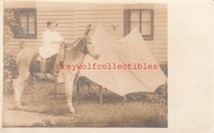 Little Boy on Donkey, RPPC