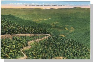 North Carolina/NC Postcard,Craggy Gardens Highway,Near Mint!