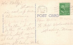 Vintage Postcard 1944 Fountain And Duck House Deering Oaks Portland Maine ME