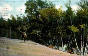 Massachusetts Springfield Deer In Forest Park 1909