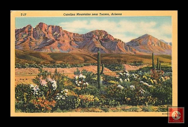 Catalina Mountains near Tucson, Arizona