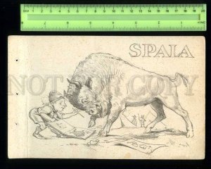 230180 ESTONIA SPAIA Boy Scouts Vintage drawings bull