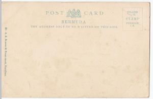 Bermuda; The Gardens, Victoria Park, Hamilton PPC By AE Bourne, Unused, c 1910's