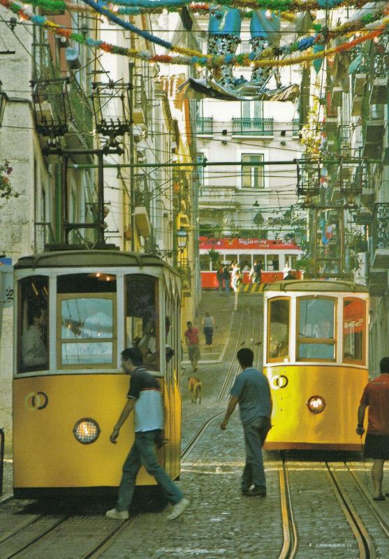 Walking On Front Of A Bus Zombie Suicide Portugal Postcard