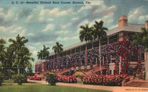 Vintage Postcard Grandstand Hialeah Race Course Rear View Hialeah Florida FL