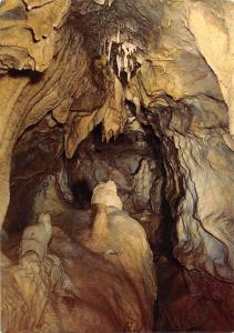 BG35950 petigny couvin grottes de neptune cheminee concretionnee belgium