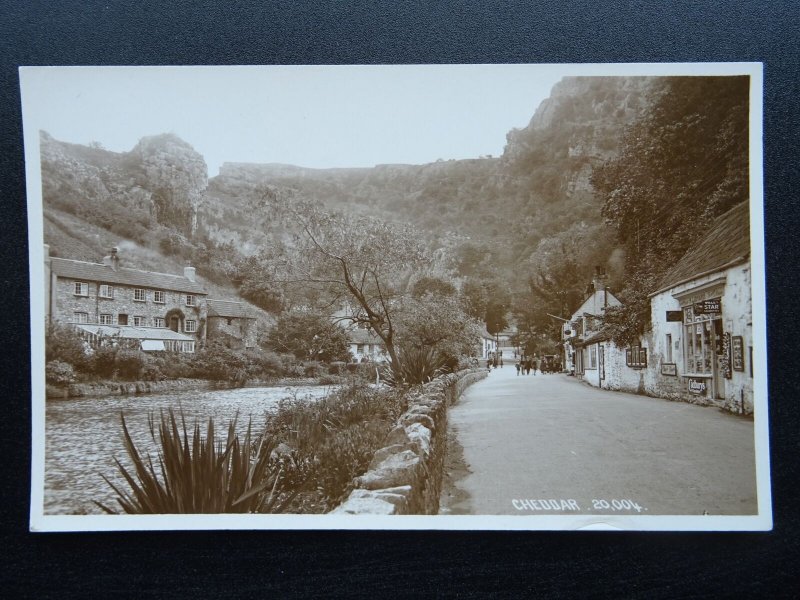 Somerset CHEDDAR showing H. LIDYARD Shop - Old RP Postcard by Chapman & Son