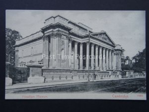 Cambridge FITZWILLIAM MUSEUM c1905 Postcard by Stengel & Co. 19202