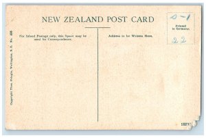 c1910's Scenic View Sterling Falls Milford Sound 505 Ft., New Zealand Postcard