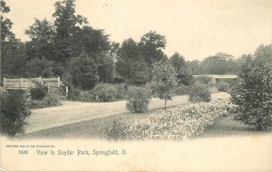 Postcard C-1910 Ohio Springfield View Snyder Park Rotograph undivided 22-14208