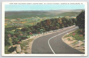 State View~Lincoln Highway From Tuscarora Summit Looking West~Vintage Postcard