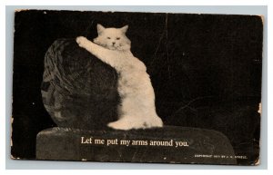 Vintage 1911 Comic Postcard - Cute Cat Large Ball of Yarn