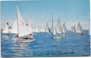 US unused California - Flight of the Snowbirds. 12 foot dinghy Race.  Nice.