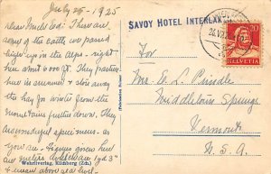 Cattle on Mountain Cow Postcard