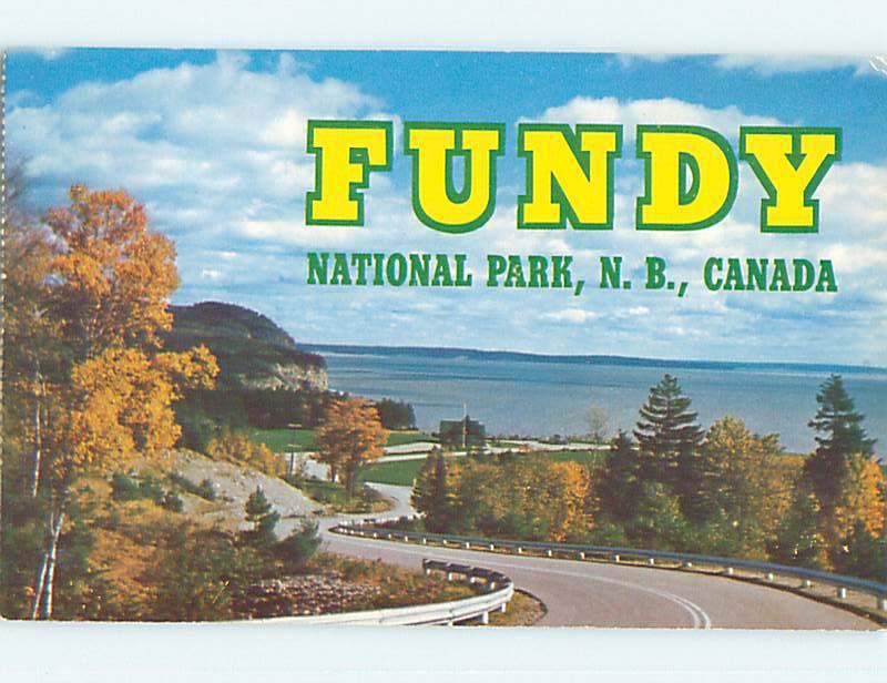 Unused Pre-1980 TOWN VIEW SCENE Alma New Brunswick NB p8877