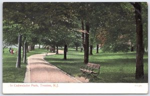 Vintage Cadwalader Park Trenton NJ Souvenir Postcard by Valentine & Sons