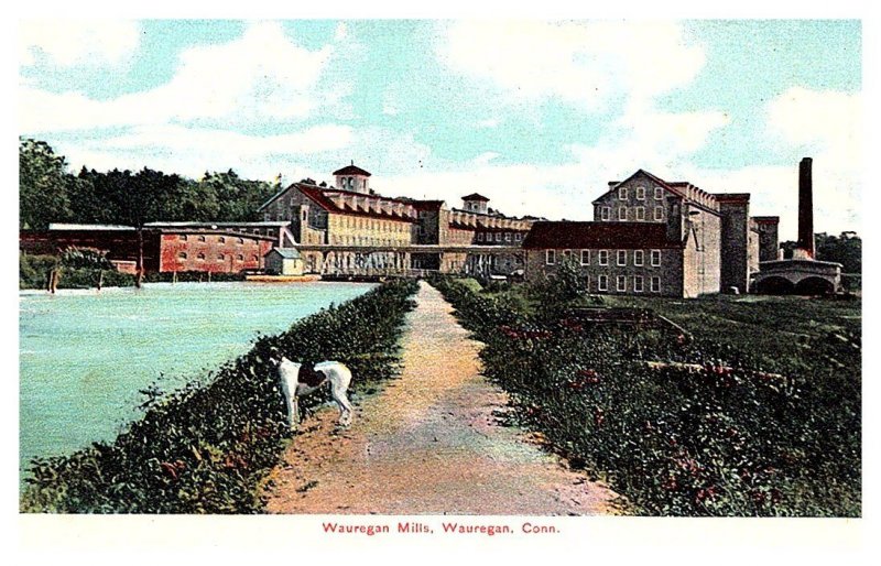 Connecticut Wauregan   Mills, Dog in view