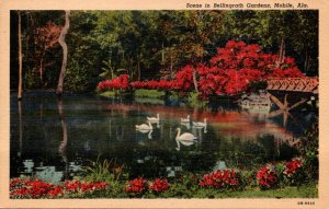 Alabama Mobile Scene In Bellingrath Gardens Curteich