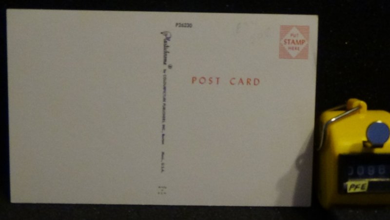 STD Decisions Decisions Decisions Humour Postcard