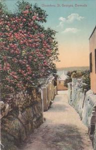 Bermuda St Georges Oleanders