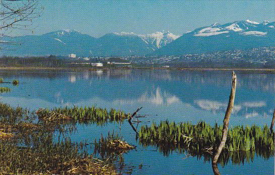 Canada View Of Burnaby Lake British Columbia