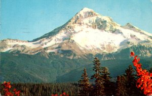 Oregon Mount Hood Seen From Lolo Pass 1957