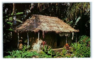 MOANA VALLEY, HI Hawaii ~ GRASS HUT at Waioli TEA ROOM c1950s Roadside Postcard